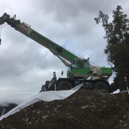 TEREX A350 Consensa Rental AG