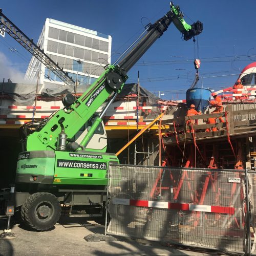 SENNEBOGEN 608 MULTICRANE Consensa Rental AG