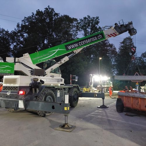 TEREX A350 Consensa Rental AG